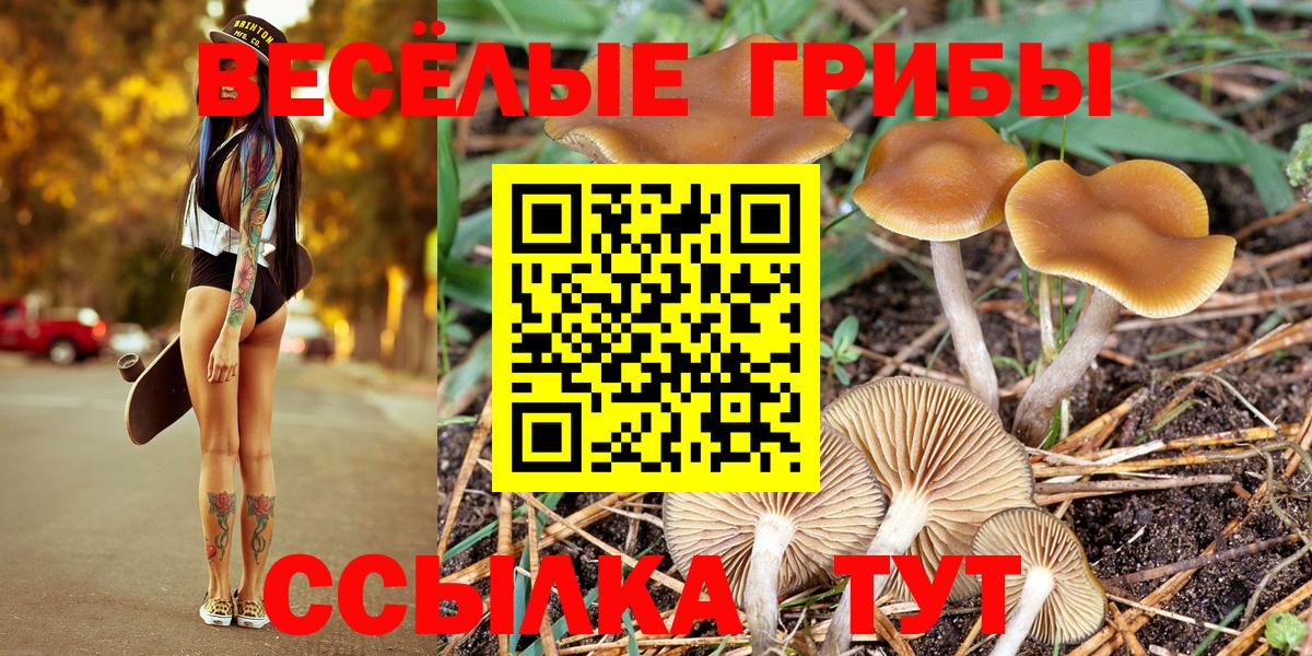 Галлюциногенные грибы мухоморы Отрадный