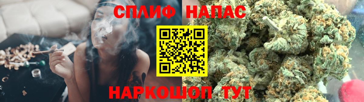 МАРИХУАНА конопля Отрадный
